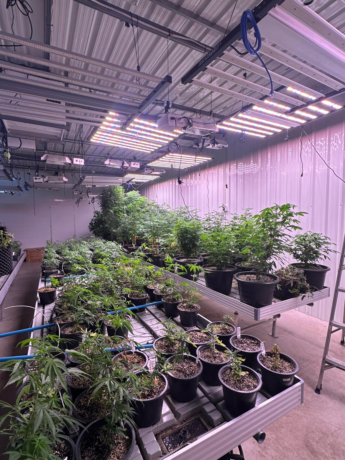 Grow room — overview